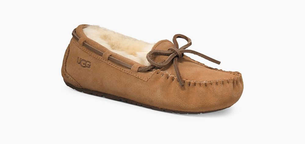 Ugg Slipper Big Kids - Ugg Kids Dakota Brown - 237MZHYOL